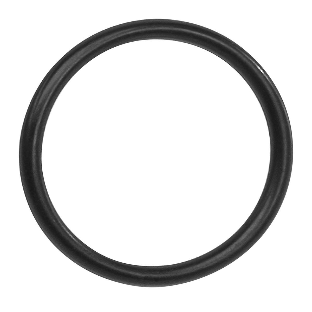 Bosch O-Ring (BDU3xx)
